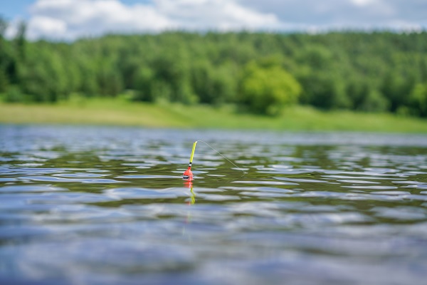 Dobber in het water tijdens het vissen