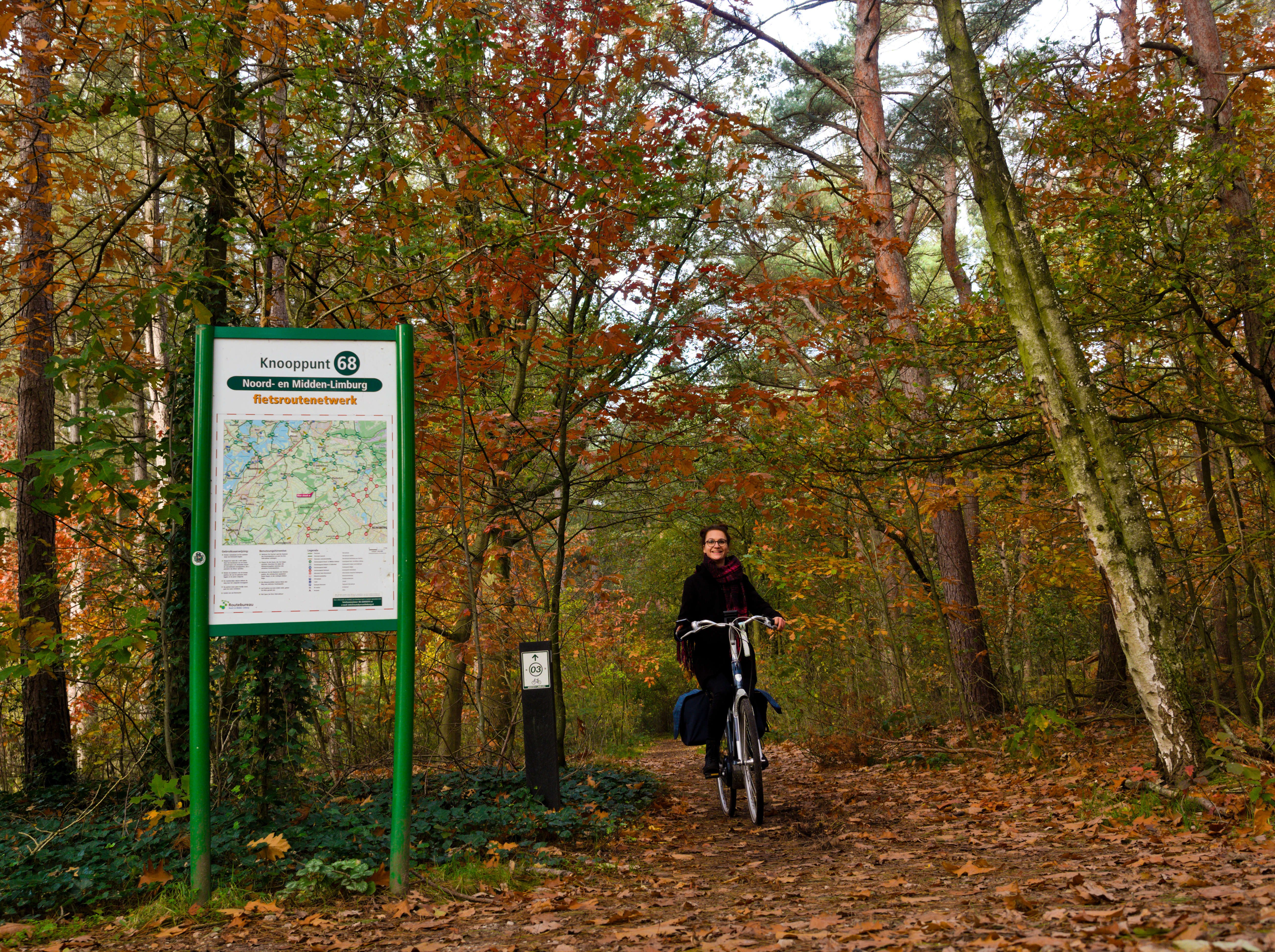 Vrouw fietst over een bospad. Langs haar is een knooppunt te zien met het fietsroutenetwerk.