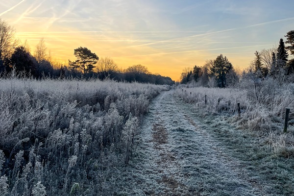 De zon komt op over een ijzig Nationaal Park de Meinweg