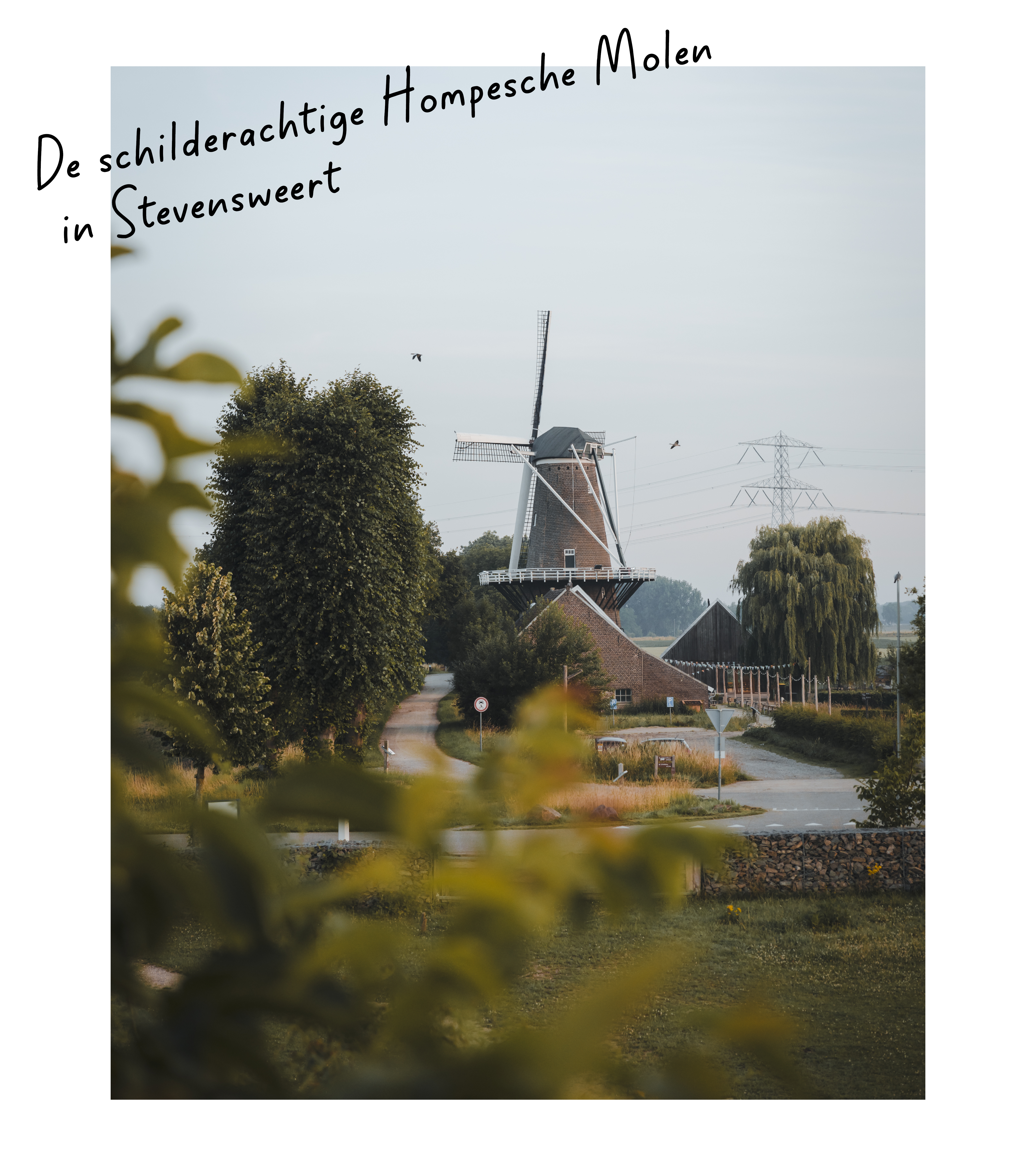 De Hompesche Molen in Stevensweert, omringd door bomen en groen, met een slingerend weggetje op de voorgrond en een heldere zomerlucht op de achtergrond. De tekst ‘De schilderachtige Hompesche Molen in Stevensweert’ staat speels boven in beeld.