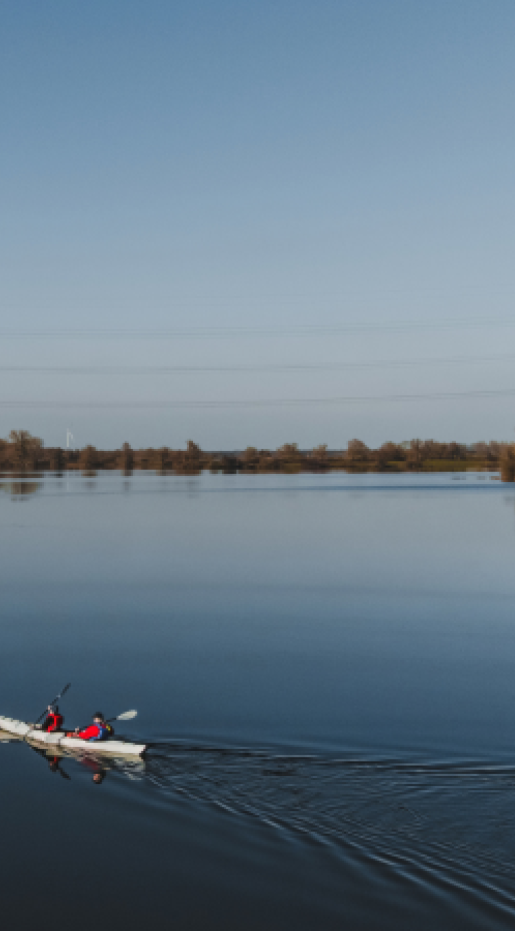 Maas en oever aan het water mobiele versie