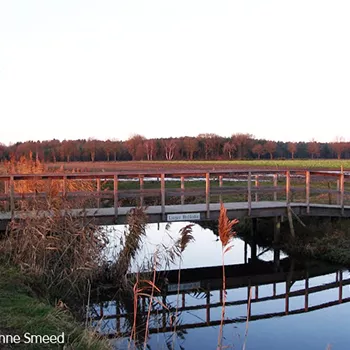 Brug in grenspark Kempen-Broek