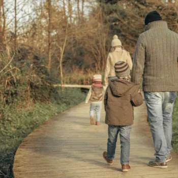 Gouden olifanten op je pad