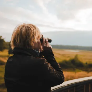 Persoon kijkt met een verrekijker uit over het Weerterbos, op zoek naar edelherten.