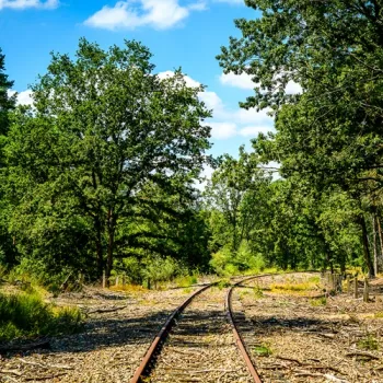 Spoorlijn van de IJzeren Rijn loopt door het bos in Nationaal Park De Meinweg.