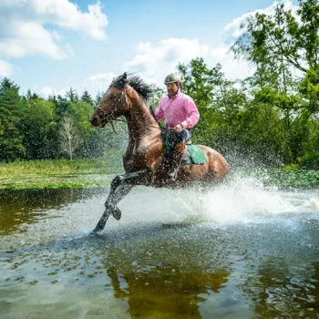 Ruiter rijdt met paard door het water tijdens de ruiterroute Meinweg-Oost, omringd door natuur.