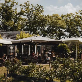 Terras van Plantage Blankwater in Boukoul, midden tussen het groen en de blauwe bessenvelden.